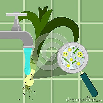 Washing contaminated leek Vector Illustration