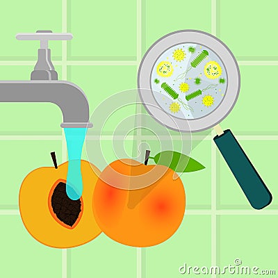 Washing contaminated peach Vector Illustration