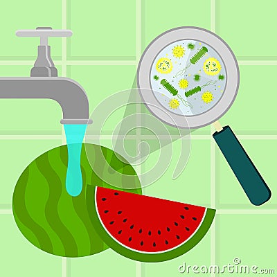 Washing contaminated watermelon Vector Illustration