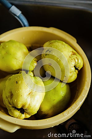 Washing Quinces Stock Photo