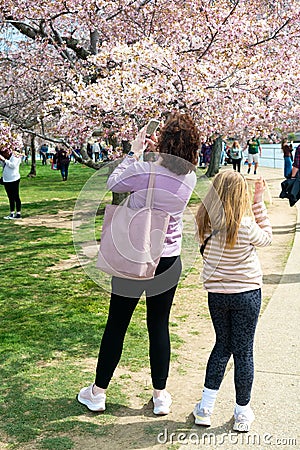 Washington Citizens and Visitors Celebrate Cherry Blossom in the Tidal Pool at the Jefferson Memorial Editorial Stock Photo