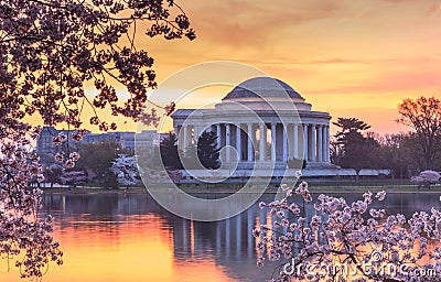 Washington DC Cherry Blossom Festival Sunrise Stock Photo