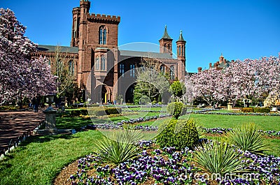 Washington DC - Flowering magnolia blossom trees and gardens frame the Smithsonian Castle on the National Mall in Editorial Stock Photo