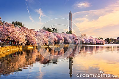 Washington DC in Spring Stock Photo