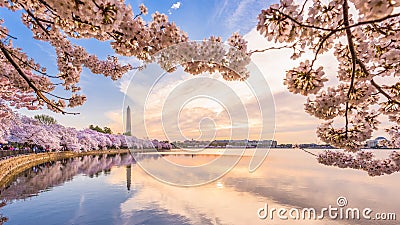Washington DC, USA in spring season Stock Photo
