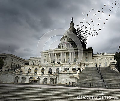 Washington Government Decline Cartoon Illustration