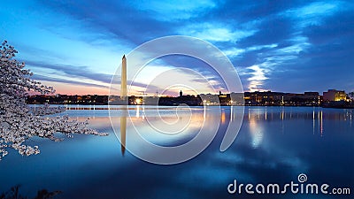 Washington Monument at night with the city skyline and cherry blossom. Stock Photo