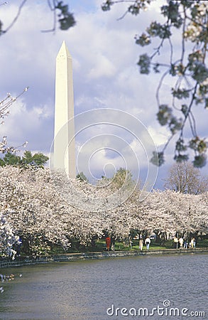 The Washington National Monument in Springtime, Washington, D.C. Editorial Stock Photo