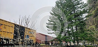 Washington Train Views Editorial Stock Photo