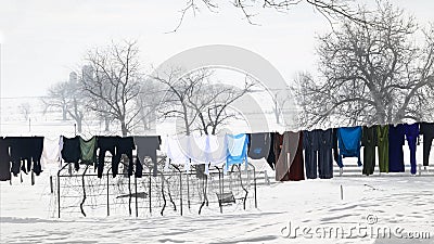 Washline in Winter - Black & White Color Pop Stock Photo