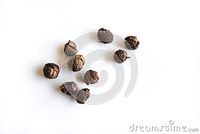 Washnut, soapnut from a washnut tree Stock Photo