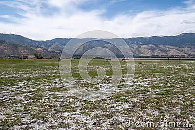 Washoe Lake State Park high desert landscape Stock Photo