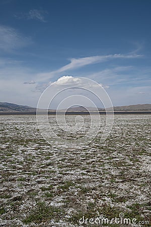 Washoe Lake State Park high desert landscape , vertical Stock Photo