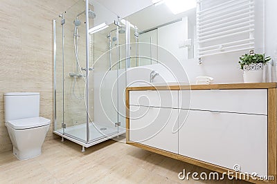 Washroom interior in traditional design Stock Photo