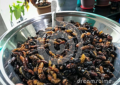 Wasp: Fried and ready to eat Stock Photo