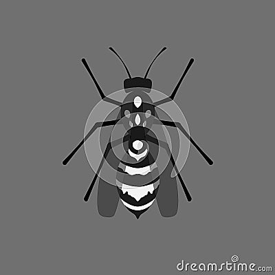 Wasp drawing. Animal concept. Vector illustration. Vector Illustration