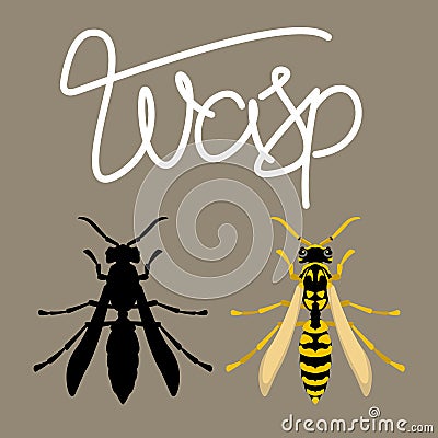 wasp vector illustration style Flat black silhouette Vector Illustration