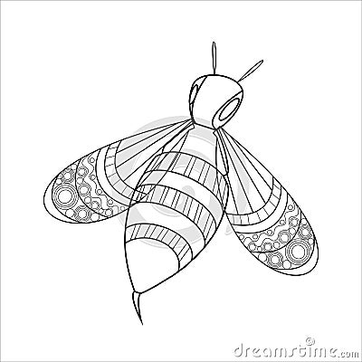 Wasp vector outline illustration, insect for coloring Vector Illustration