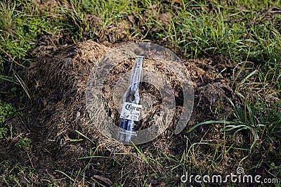 Bottle of beer that was thoughtlessly disposed of as waste in nature Editorial Stock Photo