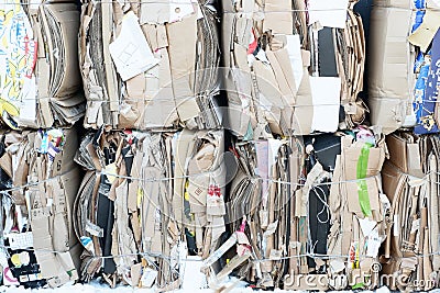 Waste paper bales for transfer to a procurement point. Environmental concept. Stock Photo