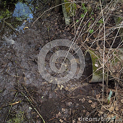 Wastewater leaking out of canalization pipe Stock Photo