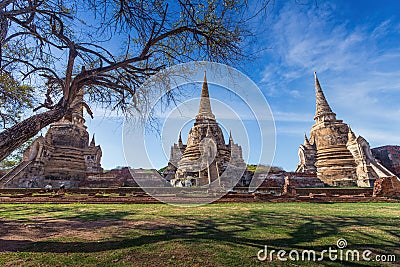 Wat Phrasisanpetch in the Ayutthaya Historical Park Stock Photo