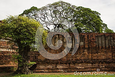 Wat Phrasisanpetch in Ayutthaya Historical Park Stock Photo