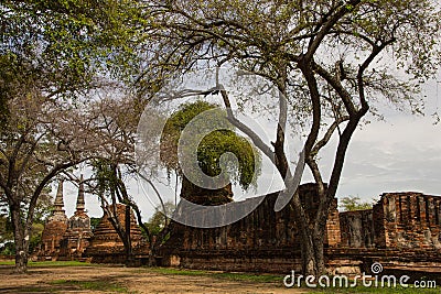 Wat Phrasisanpetch in Ayutthaya Historical Park Stock Photo