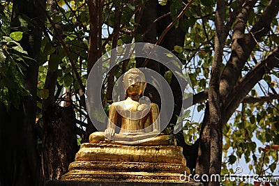 Local Art. Golden Buddha With Bodhi Leaves Stock Photo