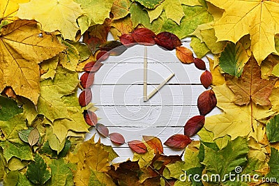 Watches leaves on a white wooden background Stock Photo