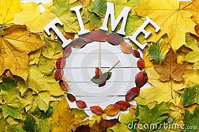 Watches leaves on a white wooden background Stock Photo