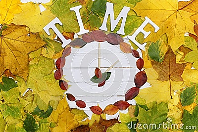 Watches leaves on a white wooden background Stock Photo