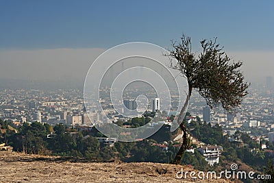 Watching over the city Stock Photo