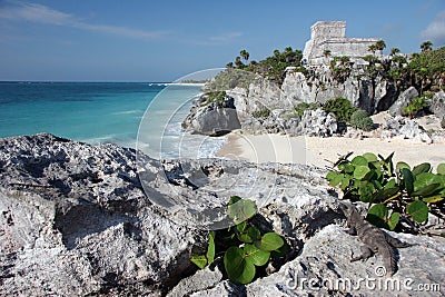 Watching Tulum ruins with a lizard Stock Photo