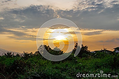 Watching the twilight clouds with grass silhouettes Stock Photo