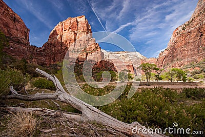 The Watchman and Virgin River, Zion National Park, Utah Stock Photo