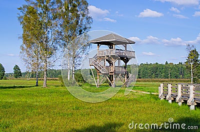 Watchtower in Bialowieza forest, Poland Stock Photo