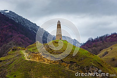 Watchtower in Caucasus mountains Stock Photo