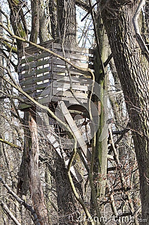 Watchtower in forest Stock Photo