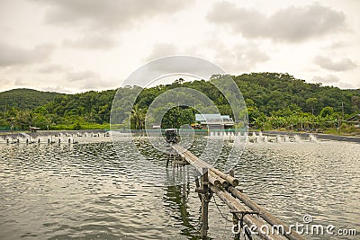 Water aeration turbine in farming aquatic. Shrimp and fish hatchery. Stock Photo