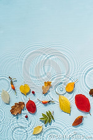 Water background with ripples and drops and colored fallen leaves Stock Photo