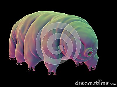 A water bear Cartoon Illustration