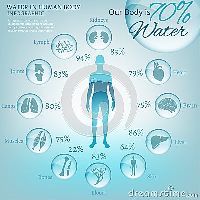 Water in Body Vector Illustration