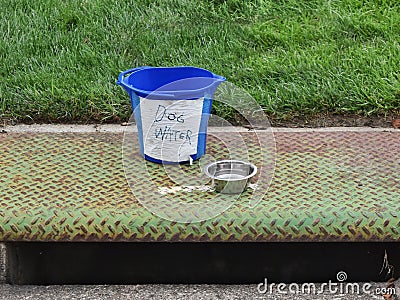 water bowl for dogs on a walk in neighborhood during hot days in the summer, Stock Photo