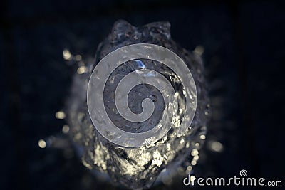 Water bubble formed by the shot Stock Photo