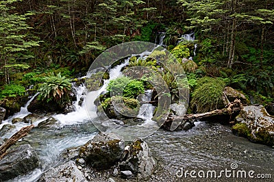 Water forms different waterfalls as it flows over mossy rocks Stock Photo