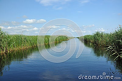 Water chanel in the Danube delta Stock Photo
