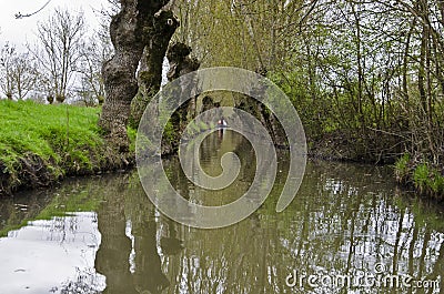 Water Channel in Marais Poitevin Stock Photo