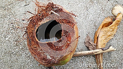 Water in a coconut Stock Photo
