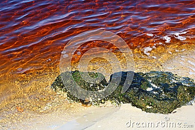 Red tide Stock Photo